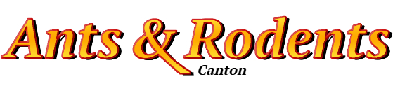 Canton Ant Exterminator & Rodent Control Company Logo